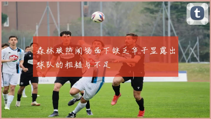 森林狼热闹场面下缺乏华子显露出球队的粗糙与不足