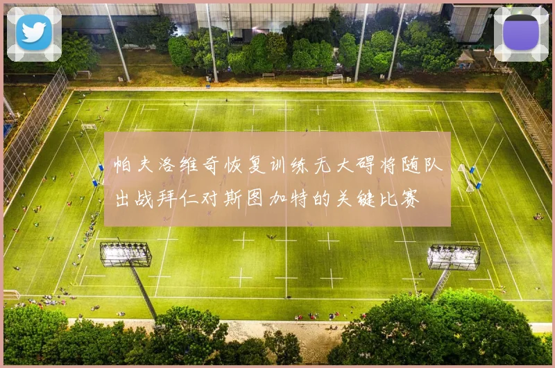 帕夫洛维奇恢复训练无大碍将随队出战拜仁对斯图加特的关键比赛