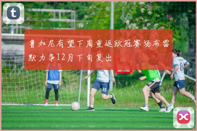 鲁加尼有望下周重返欧冠赛场布雷默力争12月下旬复出
