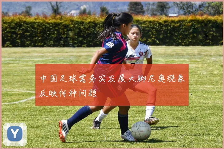 中国足球需务实发展大脚尼奥现象反映何种问题